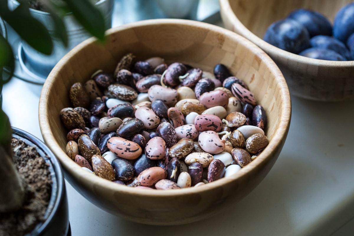 Repas équilibré avec poisson et légumes